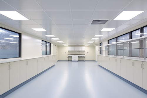Wall Cladding