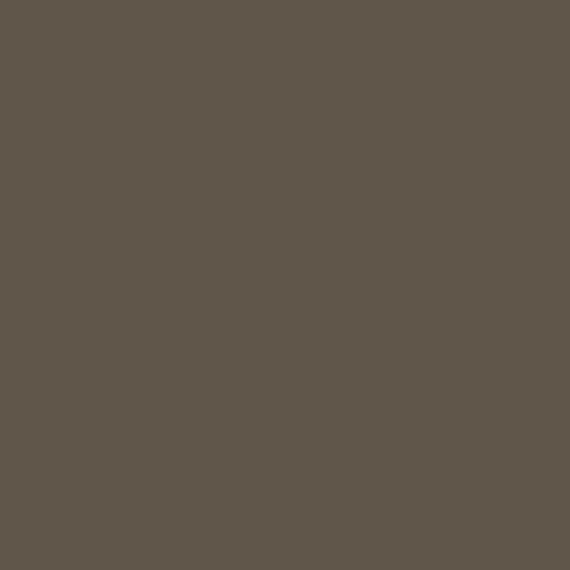 5361 Cinnamon HPL Sheet